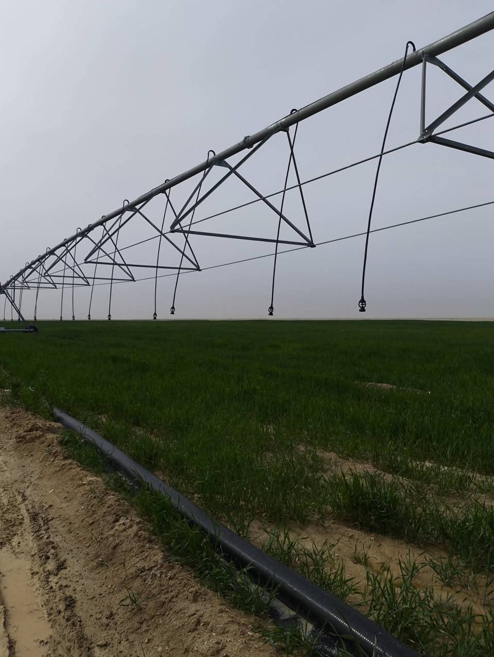 ارض 200 دونم للستثمار حسب الاتفاق الركايه يم العلويه
***********
