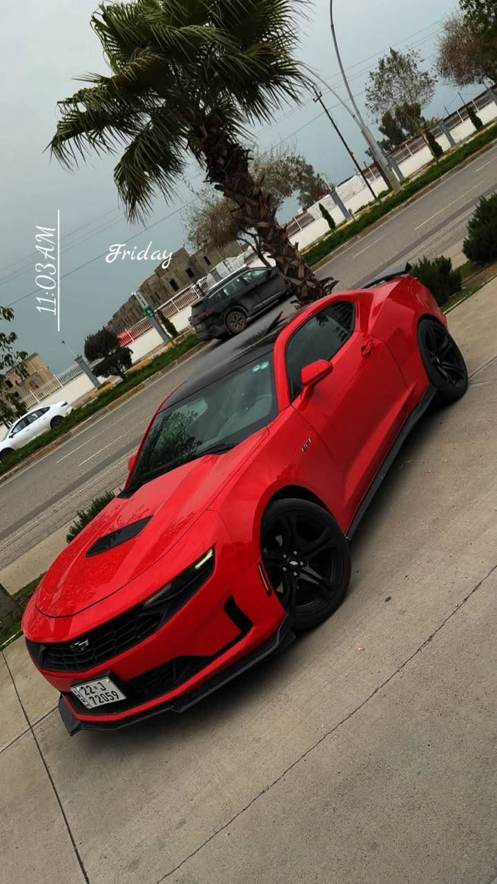 كامارو ss v8
6.2

‏مواسەفات گیچ ئەلیکترۆنی
سلاید
ئکتیف گزۆز
سەیارەکی شاز و تایبەت و نمونە لە جوانیی
هەموو گیانی بە شەرت ٢٥٠ دینار مەسرەفی نیە
یەک پاچە سبخ بێ ژۆری بێ ئێرباگ
نرخ:١٩٧$ 
مەجالەکی کەم
‏*********** أربيل, العراق
