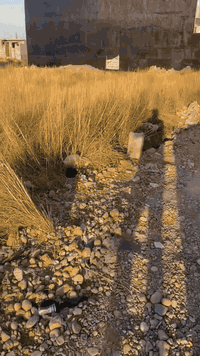 للبيع قطعة ارض مساحة 100 متر 5*20
بلاش بلاش
زراعي سند 25 موقع بهرز حي شرطة فرع مقابيل جامع حبيب المصطفى
اتصال ***********
