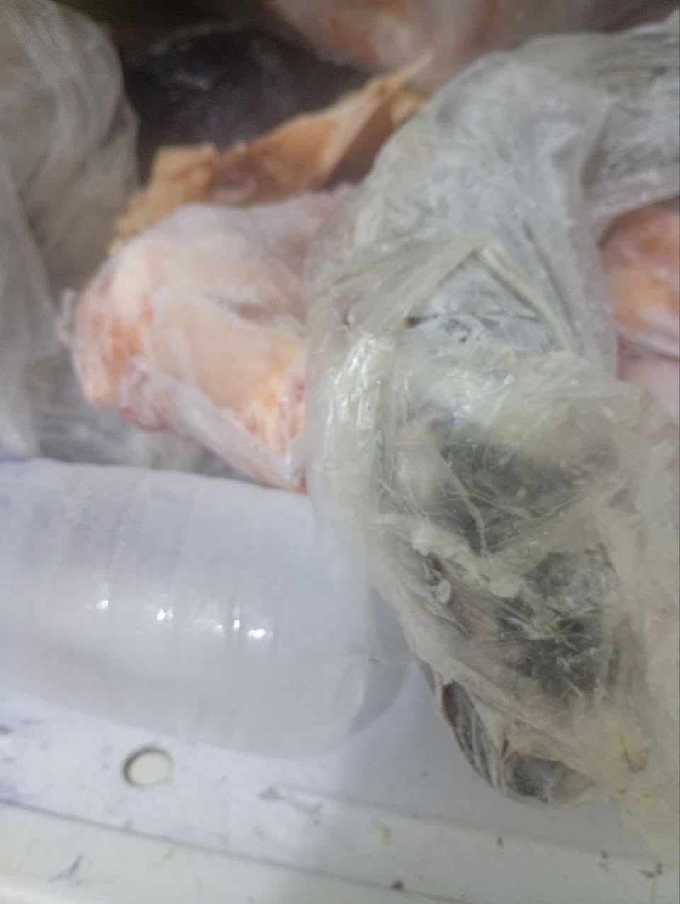 سلام عليكم 
ثلاجه للبيع بسعر 185 الف حجم كبير ثلجهه خير من الله مداخله تصليه يوجد خدمة توصيل


**إذا كنت صاحب هذا الإعلان وتريد حذفه لأي سبب، رجاءا أرسل رسالة إلى الدعم الفني**