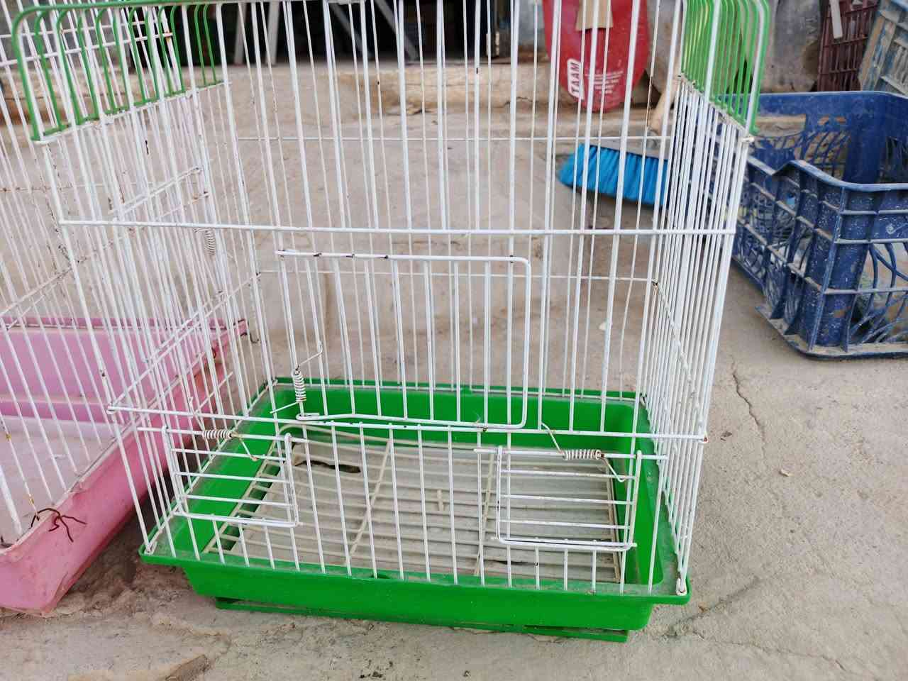 متاح اقفاص للبيع جوه السوق ***********
