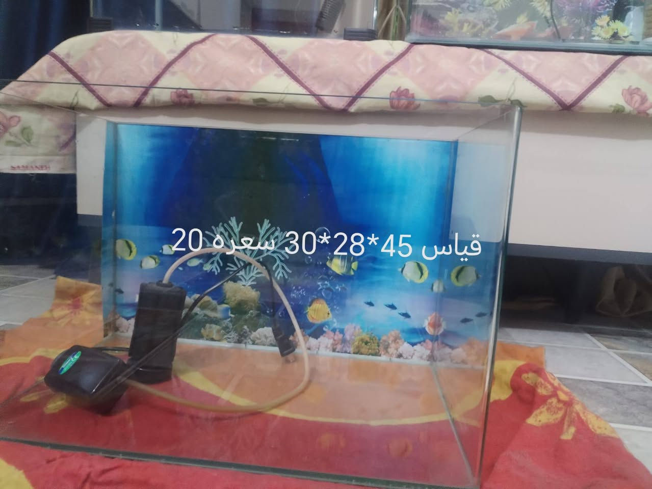 السلام عليكم كلهن جاهزات هنه وغراضهن علواني بغداد رأسه مال عبيدي بس حوض قياسه 60 بي فطر مصلح فقط بقيه كله نضيفات اي ضرار مابيهن


**إذا كنت صاحب هذا الإعلان وتريد حذفه لأي سبب، رجاءا أرسل رسالة إلى الدعم الفني**