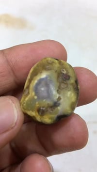 داودي • قديمه • عطف