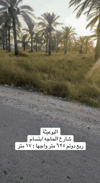 ربع دونم في البوعيثة شارع الحاجة ابتسام 
#سور #بغداد للاستثمار والتطوير #العقاري
عقارك ضمانك
للاستفسار ***********_***********
***********_***********_***********
