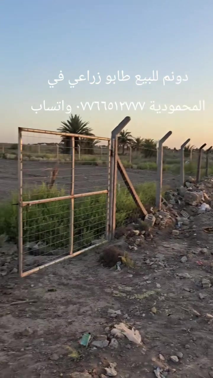 دونم للبيع طابو زراعي سند ٢٥
الواجة ٢٨م مسيج بالكامل
موقعه بالمحمودية قريب الحولي
السعر ١٠٥مليون
*********** واتساب ***********
