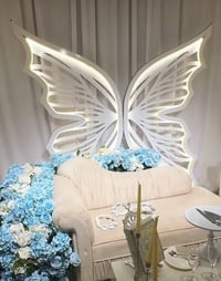 فراشات • بيع مباشر • توصيل قبل العيد