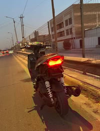 سكنس فحل للبيع او مراوس نوزل خطين سلف هندر غراضه موجوده نقص بس كفرات م...