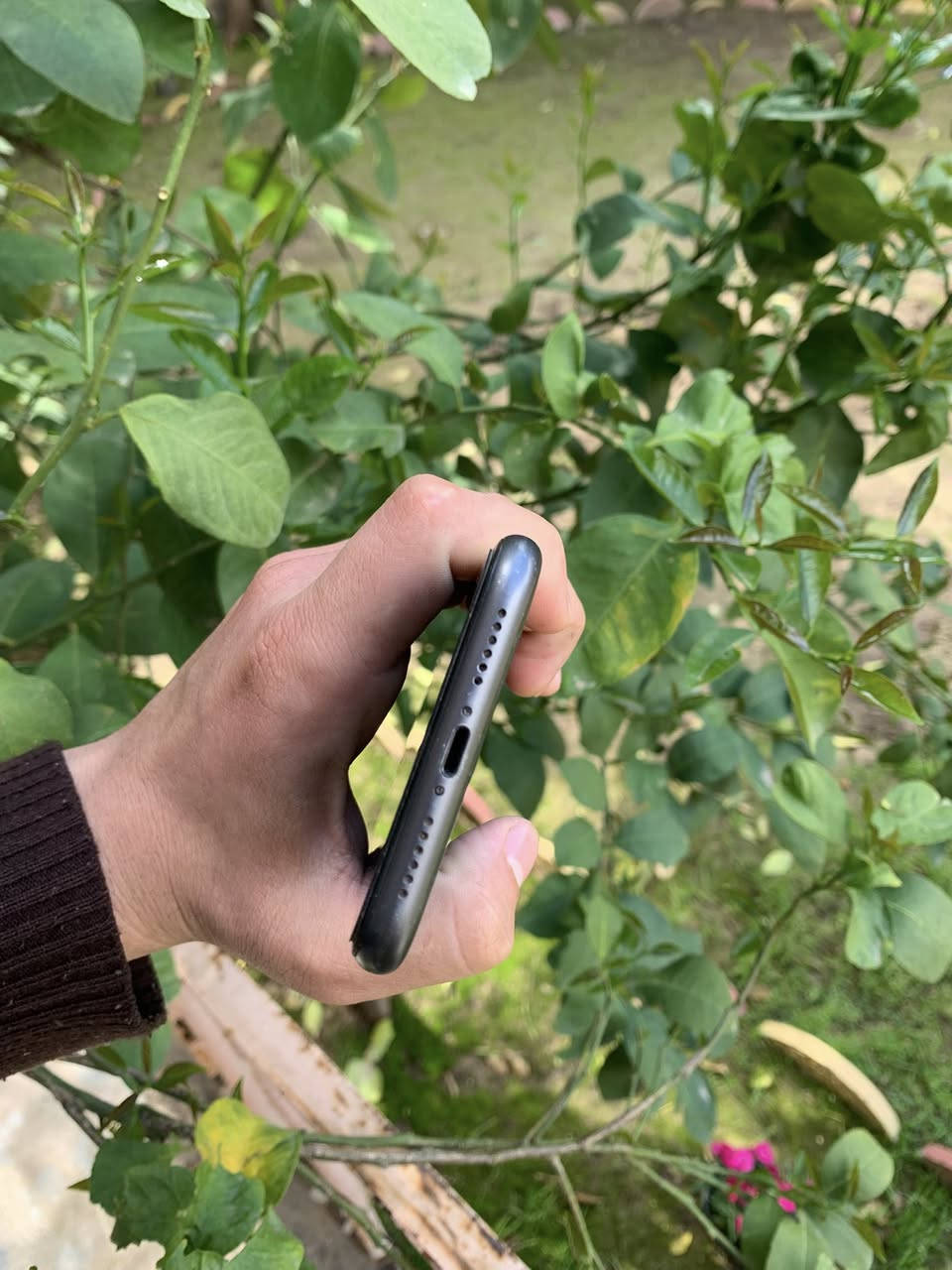 متاح iPhone 11
للبيع فقط
جهاز نظيف كلو شغال شرط 
مبدل بطارية فقط 100
وظهر مكسور 
جهاز مكفول 
ذاكرة 128 
سعر 160 
مكاني حي الوحدة


**إذا كنت صاحب هذا الإعلان وتريد حذفه لأي سبب، رجاءا أرسل رسالة إلى الدعم الفني**