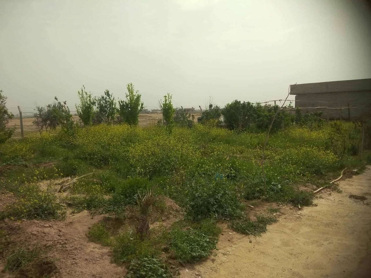 سلام عليكم مزرعة البيع مساحه دونم مكان كركوك قرب جسر كوباني
المزرعة تتكون من بيت مساحه 200 مع بستان +بير ارتوازي + اشجار مثمره من عنب +رمان +تين +مشمش
+زيتون/سعر 55 او بي مجال اي استفسار اتصل ***********
***********
ابومصطفى الحمداني
