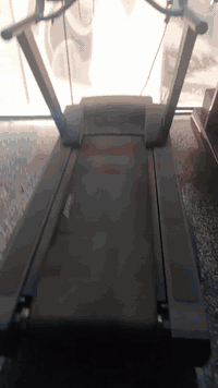 جري للبيع 07710990330