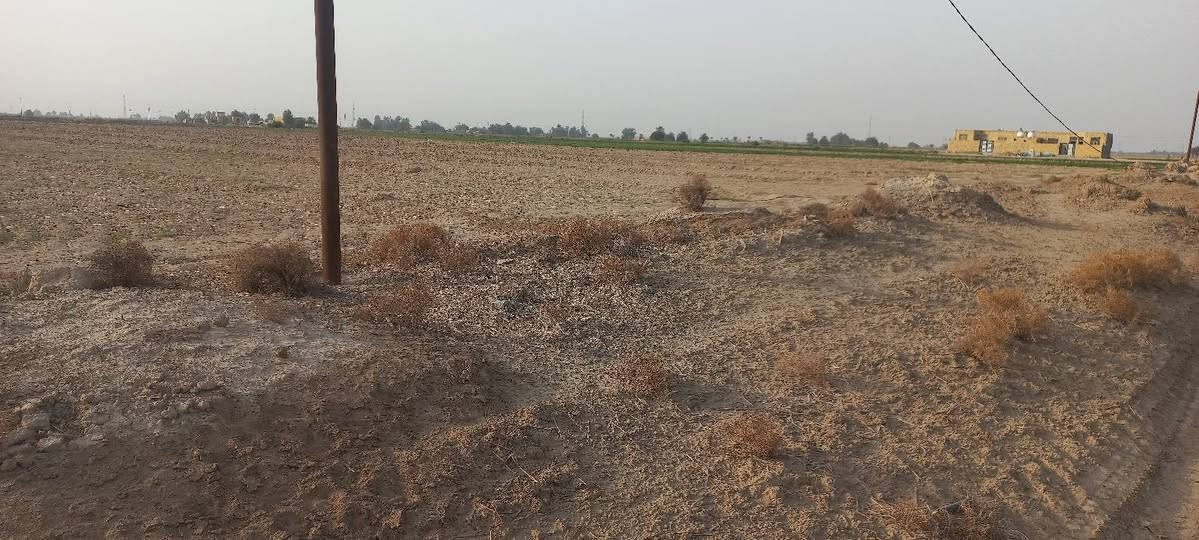 السلام عليكم كاع للبيع طابو زراعي سند ٢٥ خمس دوانم ماء كهرباء مقابيل معمل الزفت *********** ابيع كلهن السعر ٢٥ واني خادم
