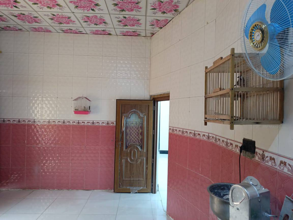 يتوفر الدينه بيت
عتوانه البصرا حمدان
نوع العقار طابو زراعي المالك عراقي 
مساحت البيت 200متر 
سعر 95قابل التفاوض
الاتصال عل رقم ***********📞📞ابو صادق
