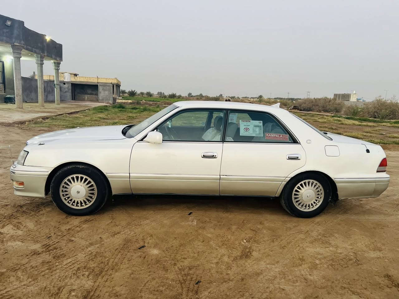 السلام عليكم راس الثور للبيع تفاصيل خاص او التصال ***********
