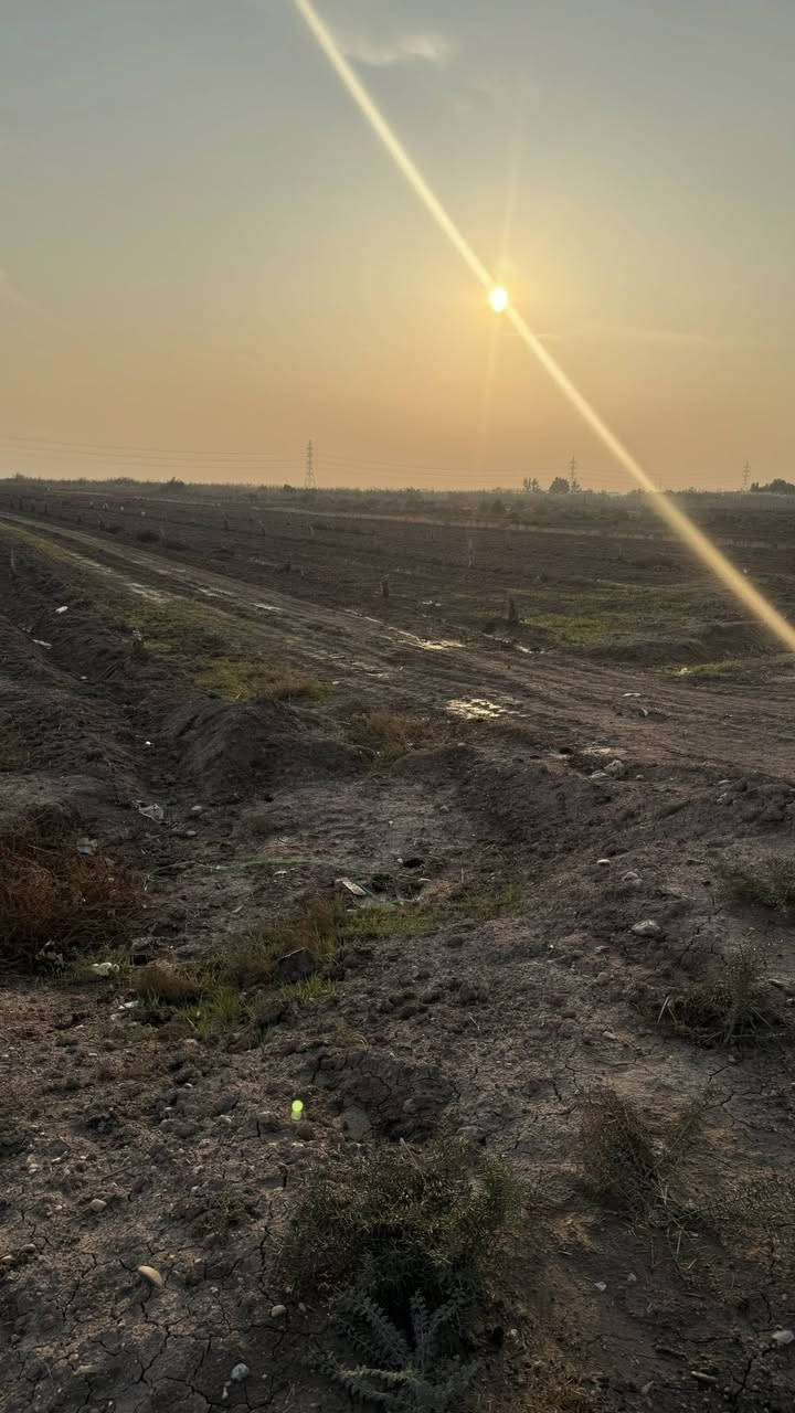 السلام عليكم
ارض زراعيه للبيع
المساحه  7 دونم  
الوجه 70 النزال 240 
الموقع طريق نصر دوايه ( مقابل فرع عتاب)

للإستفسار   ‭0782 932 3971‬
مكلف بالنشر !
