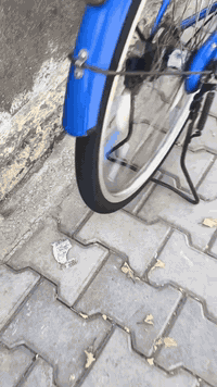 عليكم بايسكل للبيع موديل 16حجم 26بايسكل بالة شركة سانتس نضافة فول السعر خاص اتصل أو واتساب هاذه رقمي ***********
