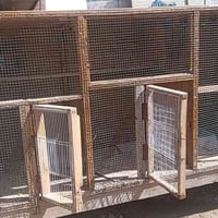 قفص • نظيف • كوفه شارع ميثم