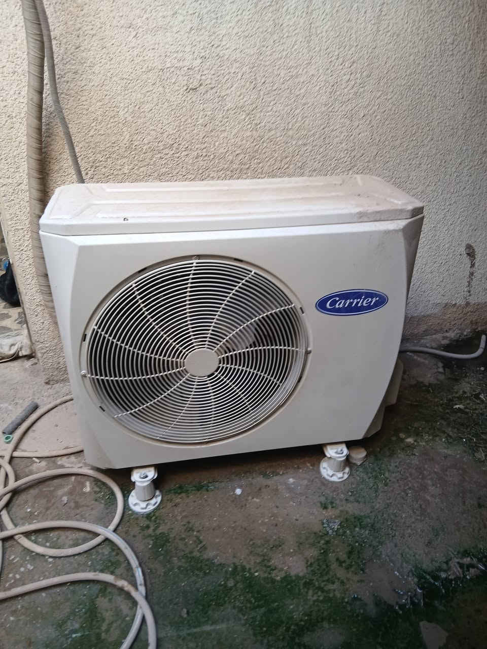 سبلت 2 طن البيع سعر ٣٥٠ شرط شغل والضمان العنوان حي نصر قرب المعارض ***********

