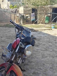 دايون • اوراق اصولي • ٢٠١٩