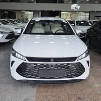 قين بلس • ٢٠٢٥ • هايبرد