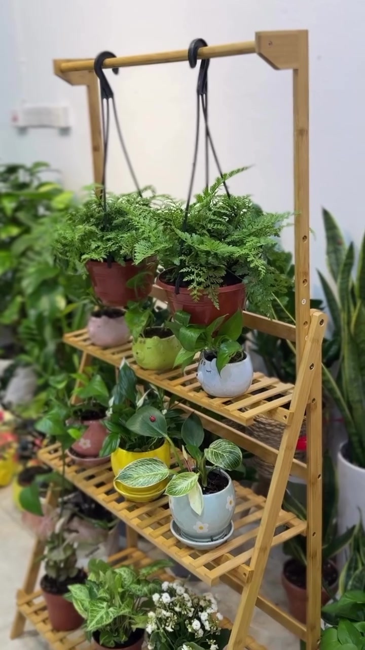 🌿 ركن أخضر أنيق يضيف لمسة من الجمال والراحة لأي مكان.

ستاند خشبي بطول متر وأربعين، مكوّن من ثلاثة رفوف مع مساحة علوية لتعليق النباتات، يمنحك فرصة لعرض مجموعة متنوعة من النباتات بطريقة مرتبة وعصرية. ✨

يمكنكم تنسيقه بالنباتات التي تفضلونها واختيار الألوان والأحجام التي تناسب ذوقكم ومساحتكم، ليصبح قطعة ديكورية مميزة تنبض بالحياة داخل المنزل أو المكتب. 💚

النباتات ليست مجرد ديكور… بل تفاصيل صغيرة تصنع فرقاً كبيراً في المكان. 🌱

#نباتات_داخلية #تنسيق_نباتات #ديكور_طبيعي #عالم_النباتات #ستاند_


**إذا كنت صاحب هذا الإعلان وتريد حذفه لأي سبب، رجاءا أرسل رسالة إلى الدعم الفني**