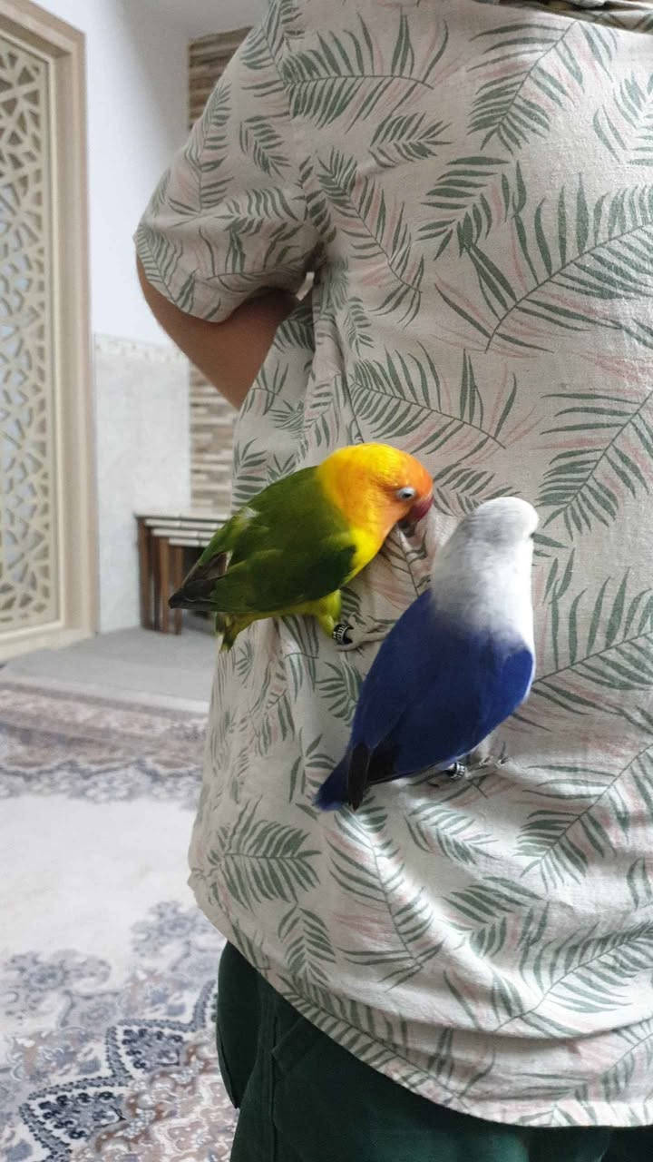‎بڵبڵ‎ أربيل, العراق


**إذا كنت صاحب هذا الإعلان وتريد حذفه لأي سبب، رجاءا أرسل رسالة إلى الدعم الفني**