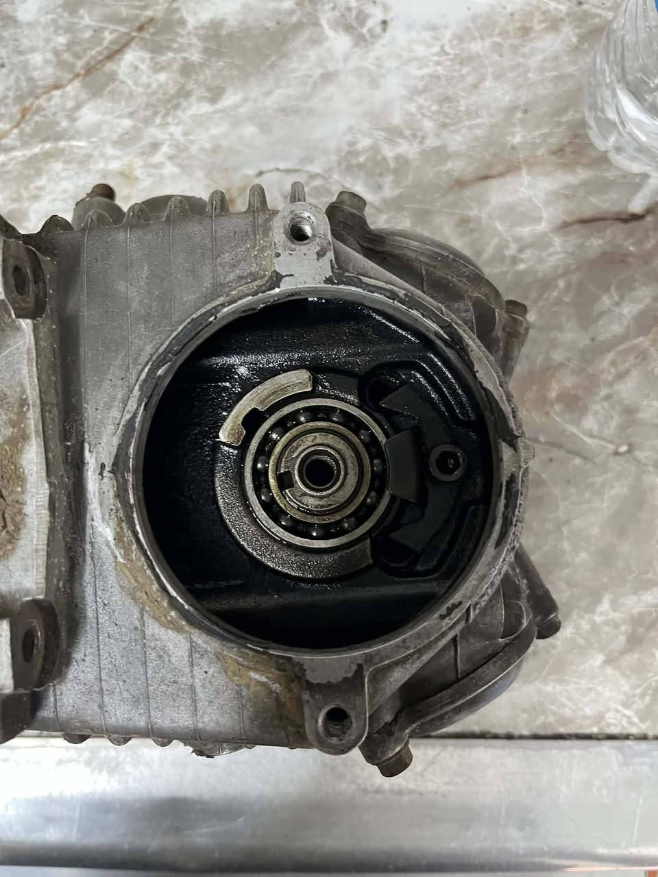 سلام عليكم كور مال رنبه وجديد سكنس وكلج رياضي اصلي من أمه  مال سكنس يرهمن  عل نثيه لفحل ول جبلي ول ثعلب  سعر لكور 50 ولكلج 35 لمكان بغداد فلكت حي نصر رقم ***********
