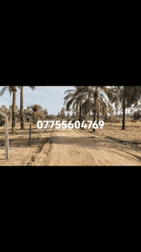 يا ألله سلام عليكم عرض بيع دوانم طابو ملك صرف ٢٥ تباع حسب الطلب دونم أو نصف دونم خدمات كامله موقع مميز العنوان بغداد المدائن شارع سيد علي قرب نهر دجله، للاستفسار الاتصال *********** / ***********
