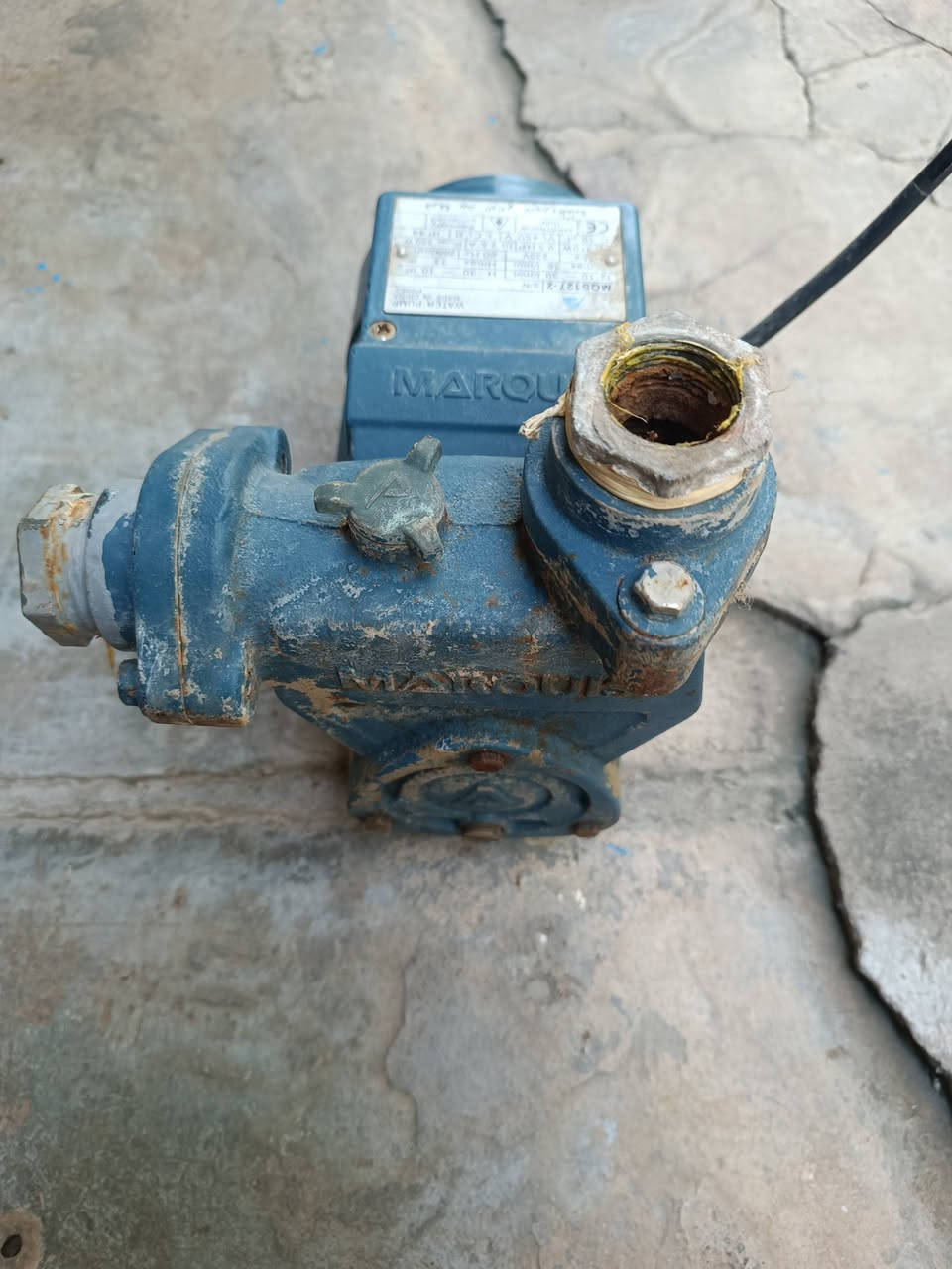 للبيع ماطورماي ماركه بيت الوادي


**إذا كنت صاحب هذا الإعلان وتريد حذفه لأي سبب، رجاءا أرسل رسالة إلى الدعم الفني**