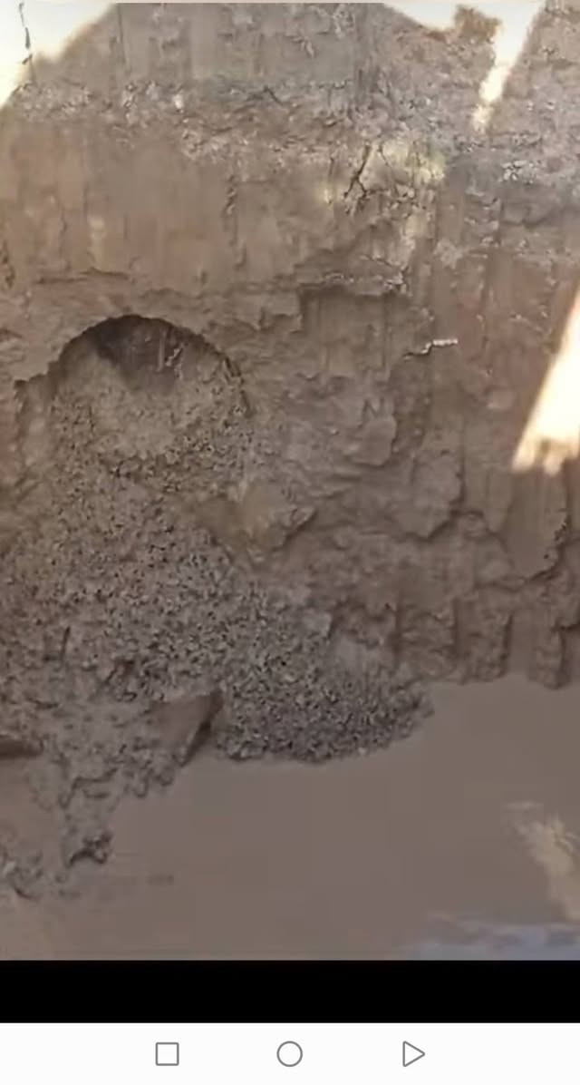 جاهزين لحفر الابار والحفر الافقي المخفي HDD وعمل تعبيرات الشوارع وتمديد جميع كيبلات الكهرباء والاتصالات في جميع العراق مع كادر عمل احترافي
~ للتواصل المراسلة او الاتصال على الارقام:
***********
***********
متوفر واتساب ماسنجر
