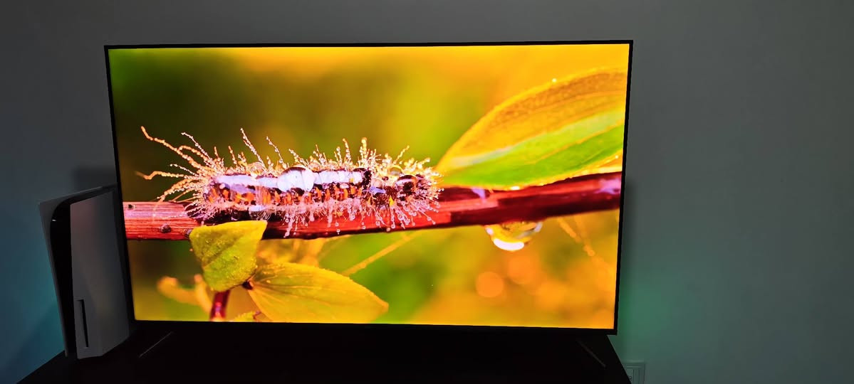 TCL C645
TCL C645 QLED 4K 55" 120Hz DLG HDR 10+ FreeSync

نظافة 100% - بدون خدش / السعر 550,000 الف دينار


**إذا كنت صاحب هذا الإعلان وتريد حذفه لأي سبب، رجاءا أرسل رسالة إلى الدعم الفني**