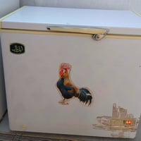 مجمدة • تجميد فول • نضيفة