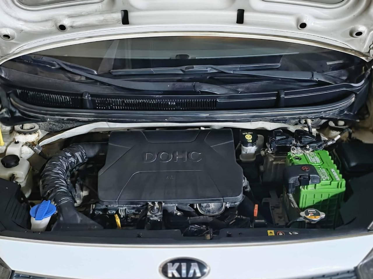 السلام عليكم كيا بيكانتو موديل 18
كير ومحرك مكفولات
الدواخل جدد
ماشية 40
سنوية ساقطة تجديد اروح وياك وتحويل باسمك ثاني يوم راعيهة الاصل بالنجف خوش رجال
تحكم ستيرن
محرك 1400 السيارة مو مثل الصور َ
الصبغ اثر دحجات مو حادث الاهل سوهة للجمالية
مكاني نجف
السعر 95 بيهة مجال
***********
