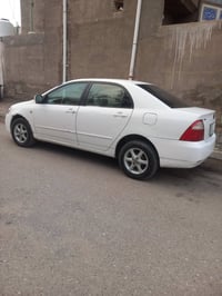 كورلا • ٢٠٠٧ • بصرة