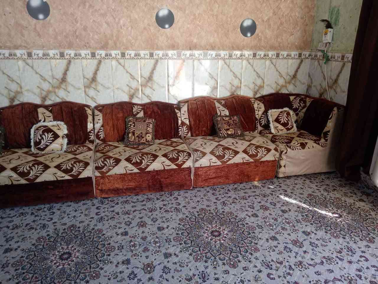 سلام عليكم تخم للبيع 12نفر العنوان سده الهنديه منطقة العلكايه رقم الهاتف ***********
