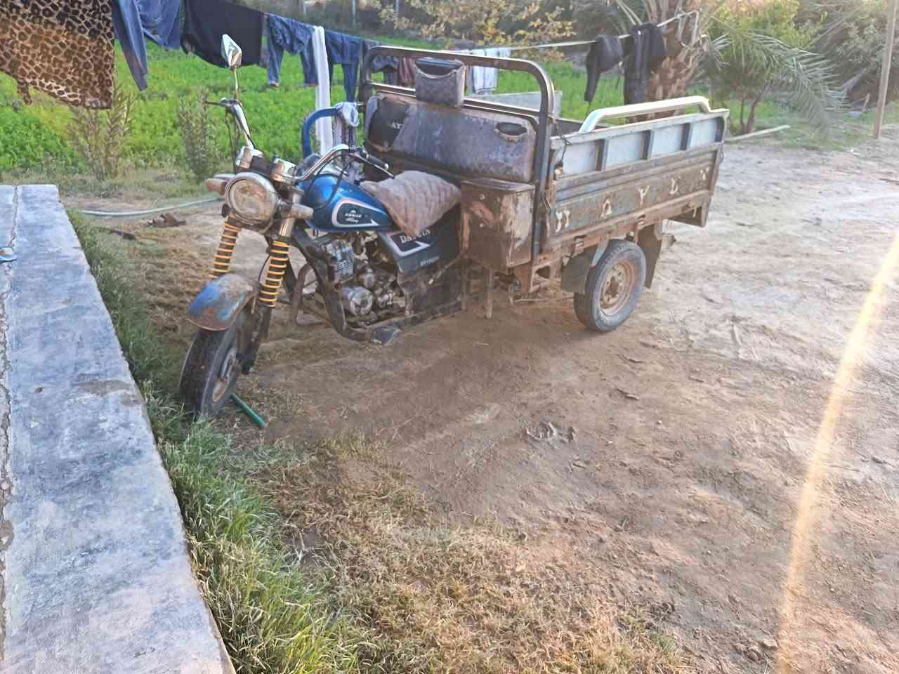 اسلام عليكم ستوته دايون للبيع ستوته خير من الله اوراق صولي سعر800 وبيهة مجال للشراي رقم ***********
