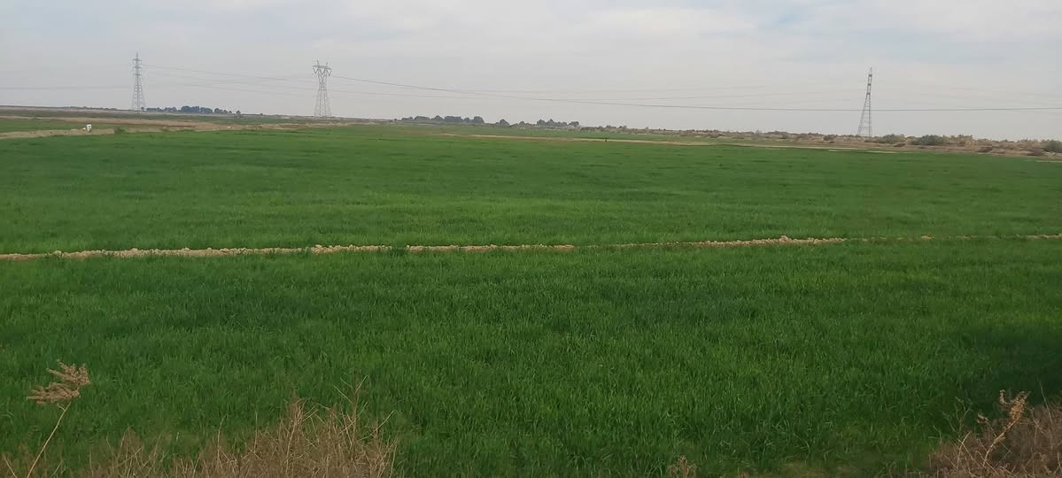 ارض زراعيه 200دونم مزروعه 130نهر عليها حرف L والباقي بزل دايرها مايها من الرحمه والبسروكيه بصدرها انبوب النفط مستقيل شارع وي  النبوب النفط عنوانه واسط كوت البسروكيه حاليا كاع صفر ماعقدين عليها قرب عطيه الحسون سعر 130وبيها مجال استفسار اكثر اتصل ع رقم
***********
***********
ارض زراعيه 200دونم مزروعه 130نهر عليها حرف L والباقي بزل دايرها مايها من الرحمه والبسروكيه بصدرها انبوب النفط مستقيل شارع وي  النبوب النفط عنوانه واسط كوت البسروكيه حاليا كاع صفر  ومشين بيها معامله عقد مكفوله من عشائر وكفلك بحضور جيران وحصه ماء بيها شتاء صيف متوفر تبعد عن شارع تبليط 6كيلو وعن سبيس 2كيلو   قرب عطيه الحسون سعر 130وبيها مجال استفسار اكثر اتصل ع رقم
