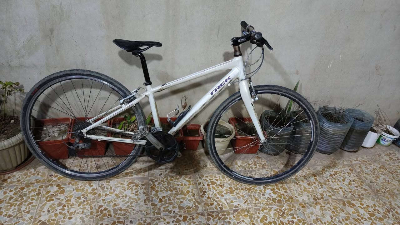 السلام عليكم بايسكل C700 حجم 28 للبيع ماركة تريك TREK, نظيف مال شحن كل غراضو شيمانو فقاسات ACERA اصلي عقرب ديور مجمع شيمانو مكينة خلفي 9 نمرات امامي 3 ماشة كاربون كلو وضع شركة اصلي شراي  سعر مناسب تواصل خاص مكان موصل


**إذا كنت صاحب هذا الإعلان وتريد حذفه لأي سبب، رجاءا أرسل رسالة إلى الدعم الفني**