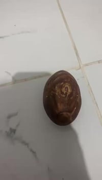 حجرة قديمة • للافادة