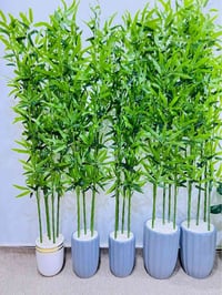 ابي الخصيب • البصرة • آخر قطع