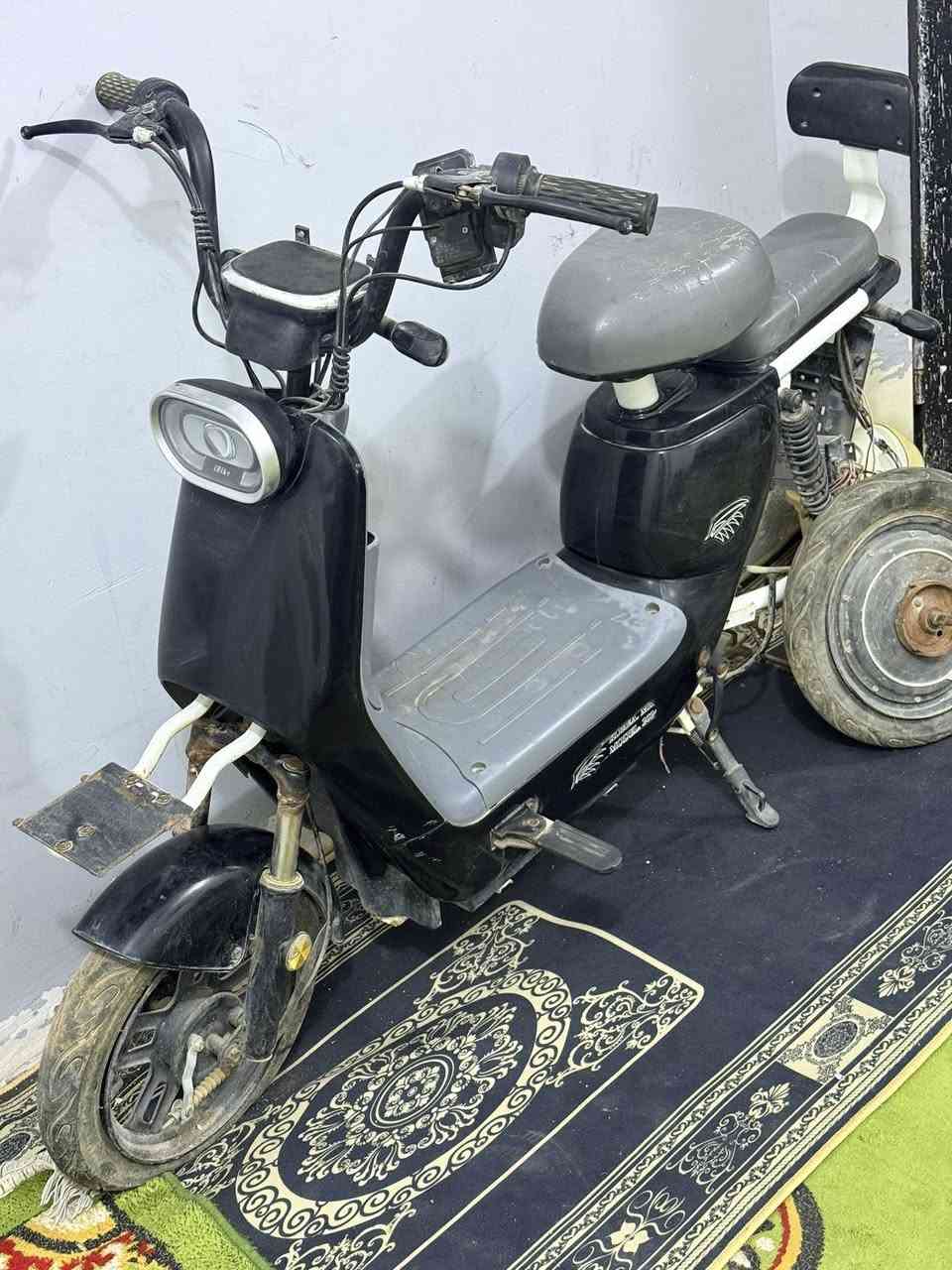 بايسكل شحن تاير بنجر وعوزهة شحن ابيعهة ع هاي الوضعيه ما اعرف شنو بيهة ب 75 قفل مكاني بغداد مدينة الصدر


**إذا كنت صاحب هذا الإعلان وتريد حذفه لأي سبب، رجاءا أرسل رسالة إلى الدعم الفني**