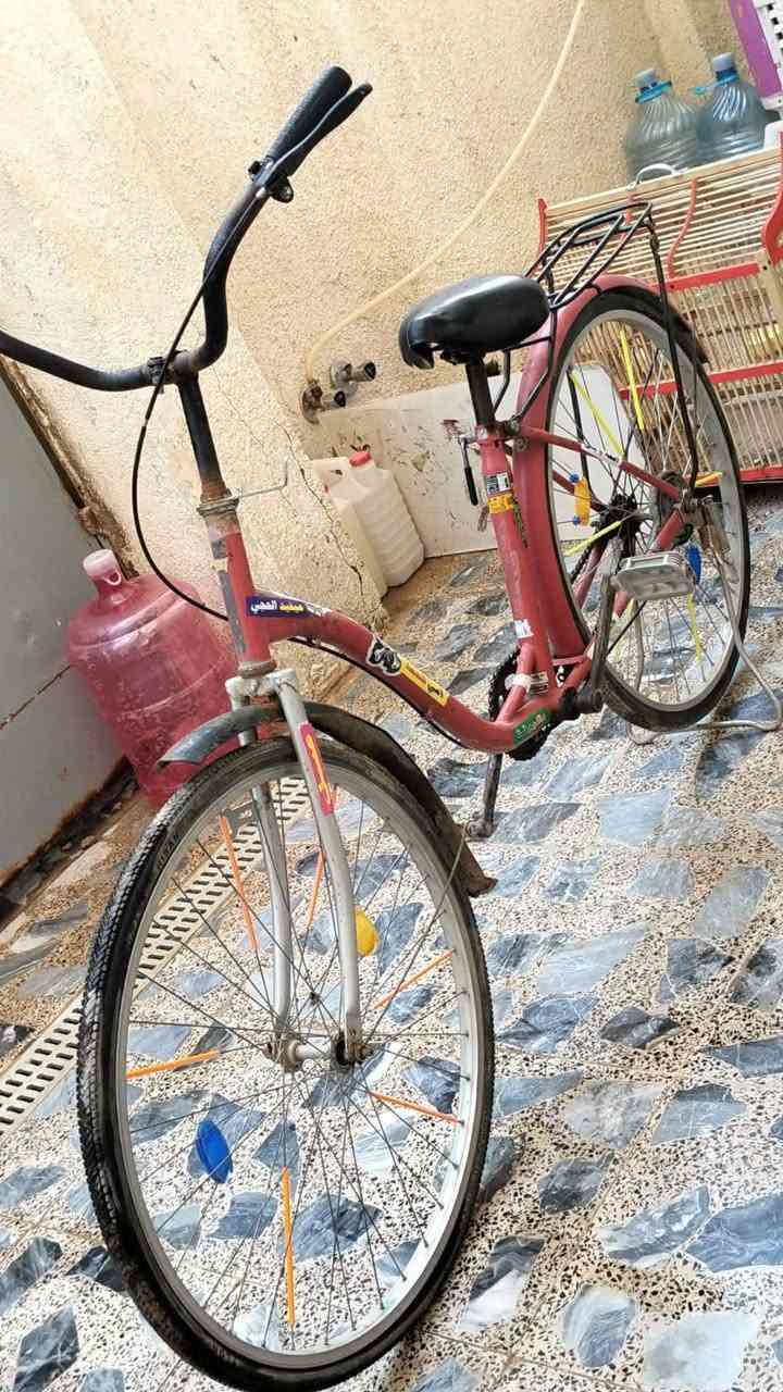 بايسكل باله ياباني نظيف مكاني كربلاء شارع احمد الوائلي السعر 75 وبي مجال


**إذا كنت صاحب هذا الإعلان وتريد حذفه لأي سبب، رجاءا أرسل رسالة إلى الدعم الفني**