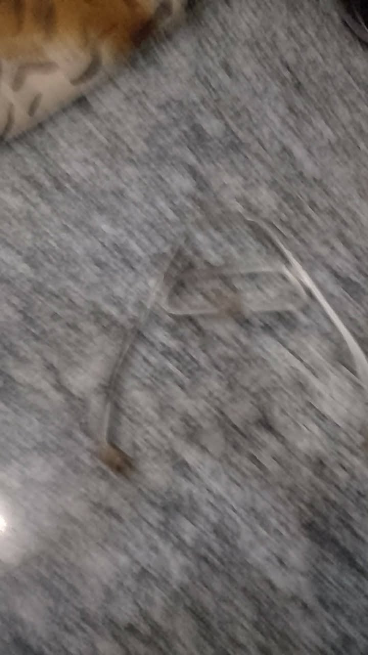 سلام عليكم ذن للبيع وعدي بعد كفرات مال عدله نضاف ومناسبات👍✨


**إذا كنت صاحب هذا الإعلان وتريد حذفه لأي سبب، رجاءا أرسل رسالة إلى الدعم الفني**