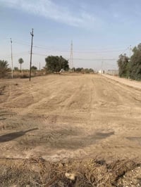 الصقلاوية الطالعة • ارض زراعية • ٢ دونم