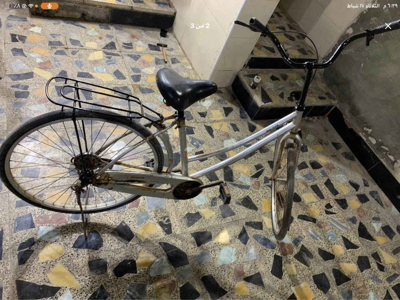 بايسكل للبيع مكان ميسان حي النداء Singapore


**إذا كنت صاحب هذا الإعلان وتريد حذفه لأي سبب، رجاءا أرسل رسالة إلى الدعم الفني**