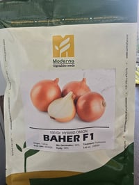 بذر بصل • الباهر • درجة أولى