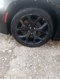 ويل 20 تخم تأير لا عواج ولا فطر. بيع ومراوس  بويل بوليسي فور ويل  0782...