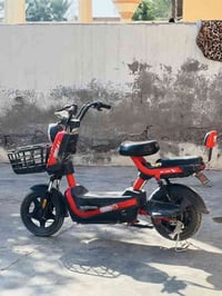 باسكل شحن • ٢٤ حجم صغير • جديد مكفول