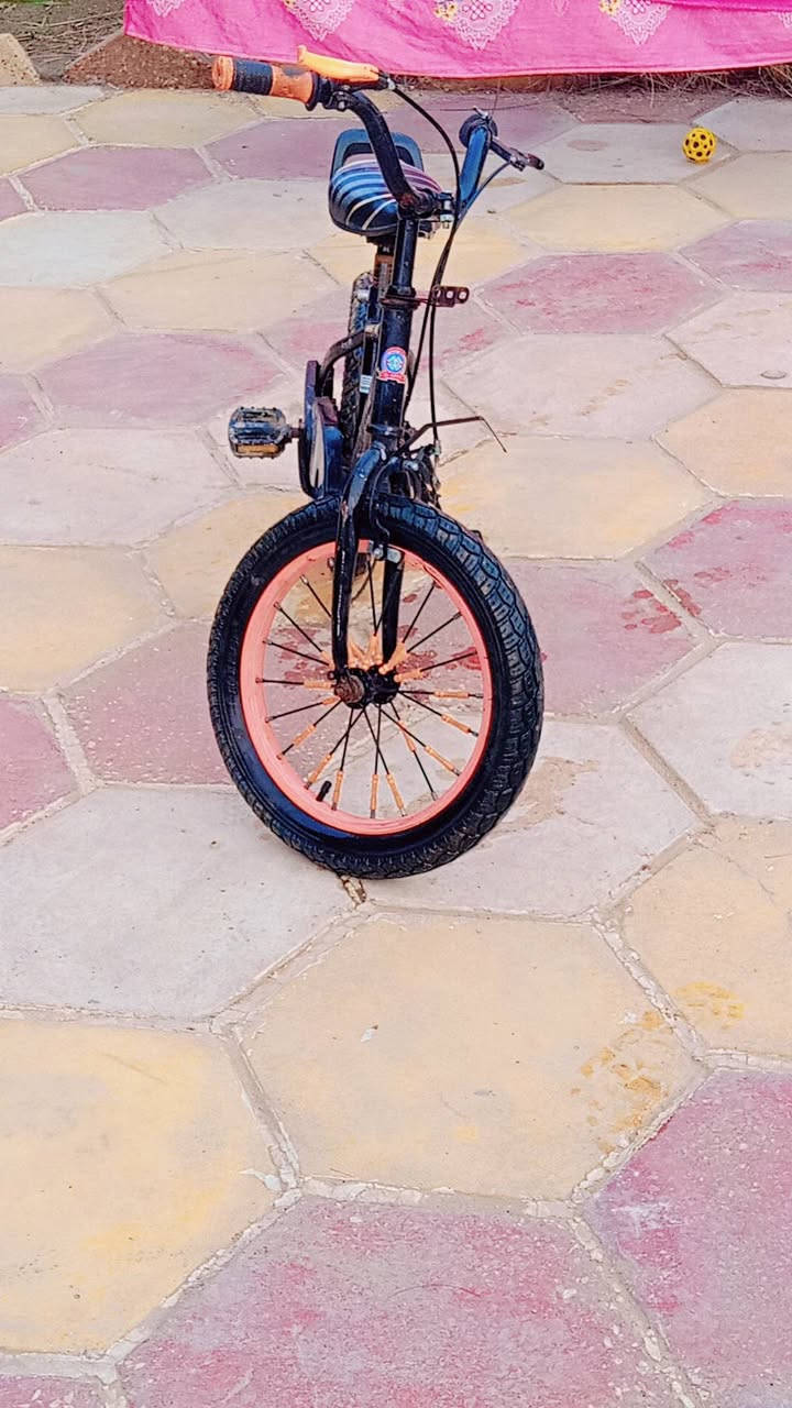 سلام عليكم 
بيسكل حجم 16 نظيف وحلو بريكات شغالات ثنينهن حلو ونظيف السعر 30 المكان ناصريه مركز الاتصال (***********)
