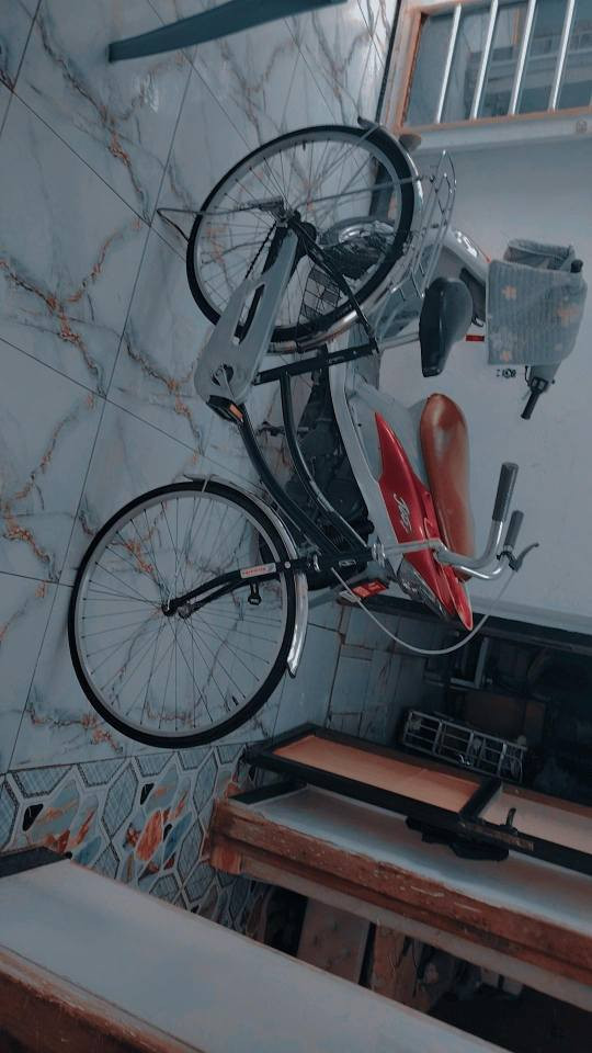 بيسكل موزه 75وبي مجال بصيط حك جيه السماوا, المثنى


**إذا كنت صاحب هذا الإعلان وتريد حذفه لأي سبب، رجاءا أرسل رسالة إلى الدعم الفني**