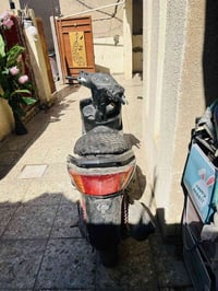 سكنس فحل • كوري • متروكه